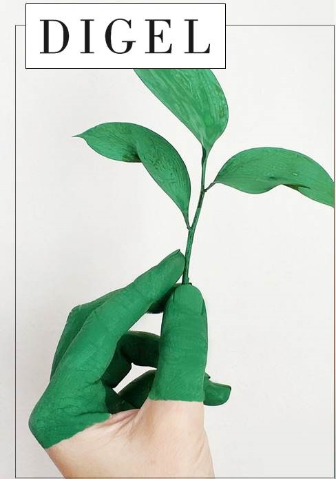 DIGEL
